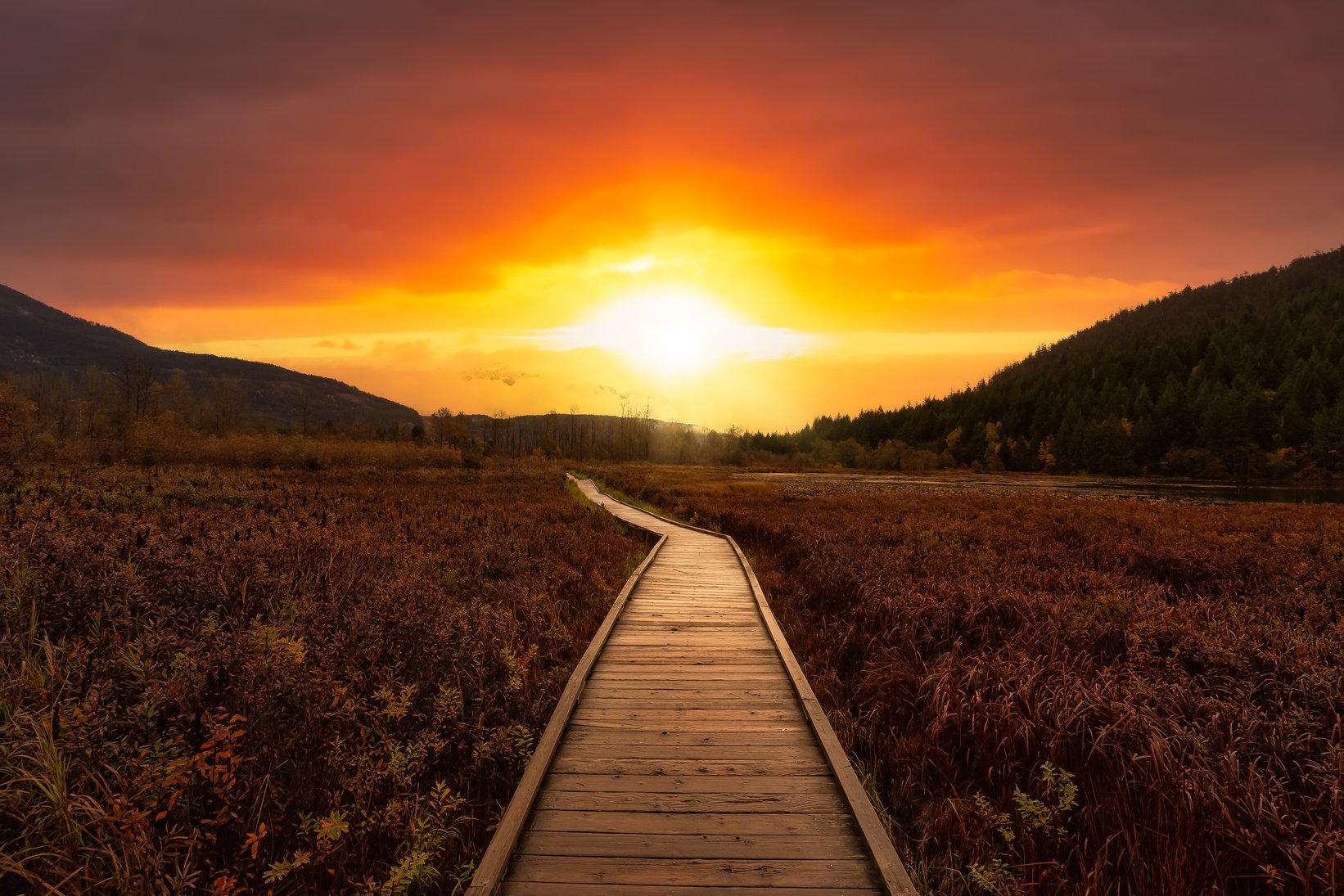 Wooden Walking Path During Sunset 